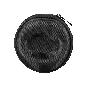 Single Watch Travel Case